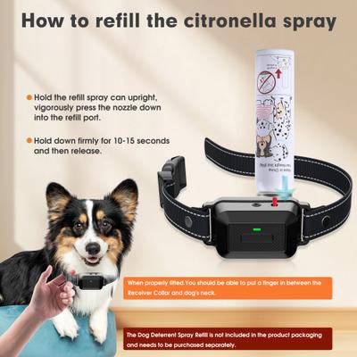 Show full view: PATPET Waterproof Dog Training Collar, Black, 1 count slide 9 of 11