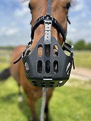 GreenGuard Grazing Horse Muzzle, Black, Horse, 5-in slide 2 of 9
