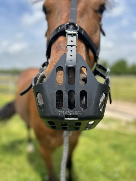 GreenGuard Grazing Horse Muzzle, Black