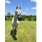 Show in main carousel: GreenGuard Grazing Horse Muzzle, Black, Horse, 5-in slide 8 of 10