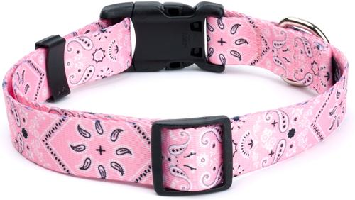 Show full view: Country Brook Design Deluxe Bandana Dog Collar, Pink, Medium slide 4 of 6