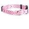 Show in main carousel: Country Brook Design Deluxe Bandana Dog Collar, Pink, Medium slide 5 of 6