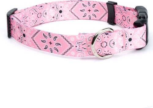 Show full view: Country Brook Design Deluxe Bandana Dog Collar, Pink, Medium slide 5 of 6