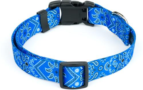Show full view: Country Brook Design Deluxe Bandana Dog Collar, Blue, Medium slide 5 of 7