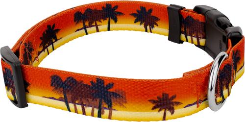 Show full view: Country Brook Design Deluxe Caribbean Sunset Dog Collar, Large slide 4 of 5