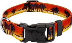 Country Brook Design Deluxe Caribbean Sunset Dog Collar, Large