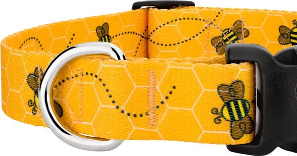 Country Brook Design Deluxe Busy Bee Dog Collar