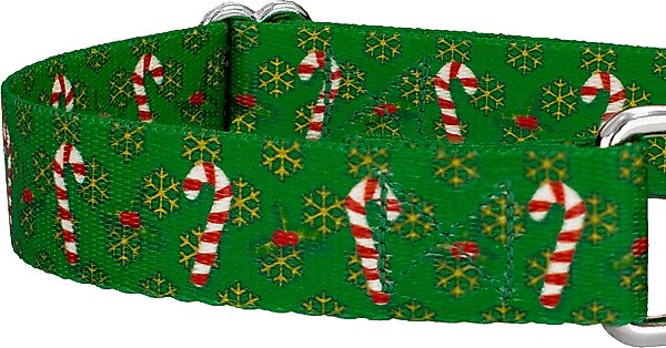 Show full view: Country Brook Design Candy Cane Christmas Martingale Dog Collar, Small slide 7 of 7
