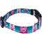 Show in main carousel: Country Brook Design Deluxe Albuquerque Dog Collar, Medium slide 4 of 5