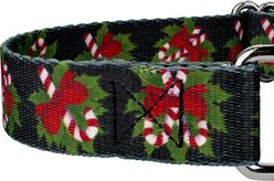 Country Brook Design Black Candy Cane Martingale Dog Collar, Medium slide 2 of 5