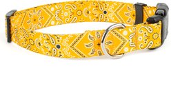 Country Brook Design Deluxe Bandana Dog Collar, Yellow, Medium slide 2 of 6