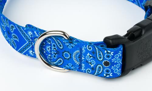 Show full view: Country Brook Design Deluxe Bandana Dog Collar, Blue, Medium slide 7 of 7