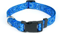 Country Brook Design Deluxe Bandana Dog Collar, Blue, Large