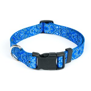 Country Brook Design Deluxe Bandana Dog Collar, Blue, Medium