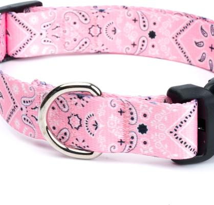 Show full view: Country Brook Design Deluxe Bandana Dog Collar, Pink, Medium slide 6 of 6