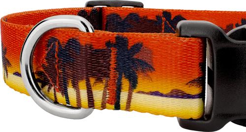 Show full view: Country Brook Design Deluxe Caribbean Sunset Dog Collar, Large slide 5 of 5