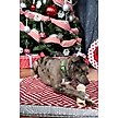 Show in main carousel: Country Brook Design Candy Cane Christmas Martingale Dog Collar, Small slide 3 of 7
