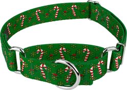 Country Brook Design Candy Cane Christmas Martingale Dog Collar, Medium