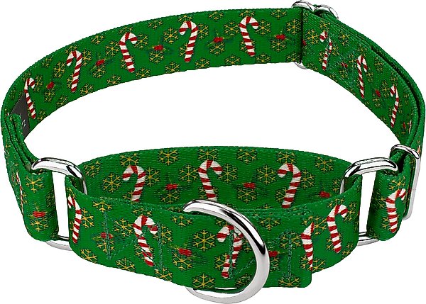 Show full view: Country Brook Design Candy Cane Christmas Martingale Dog Collar, Small slide 1 of 7
