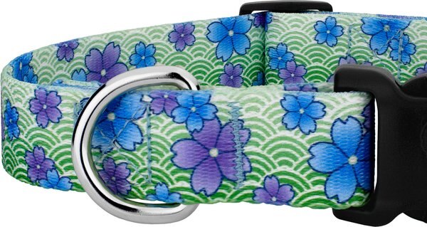 Country Brook Design Deluxe April Blossoms Dog Collar