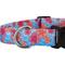 Show in main carousel: Country Brook Design Deluxe April Blossoms Dog Collar, Blue, Medium slide 5 of 5