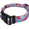 Show in main carousel: Country Brook Design Deluxe April Blossoms Dog Collar, Blue, Medium slide 3 of 5