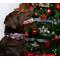 Show in main carousel: Country Brook Design Christmas Plaid Martingale Dog Collar, Medium slide 3 of 7
