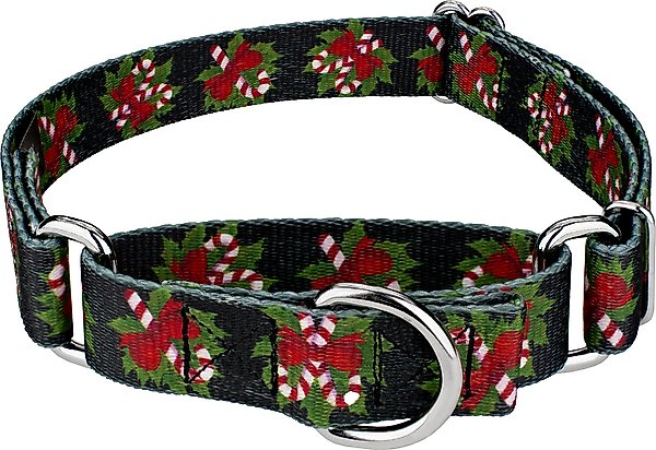 Show full view: Country Brook Design Black Candy Cane Martingale Dog Collar, Small slide 1 of 5