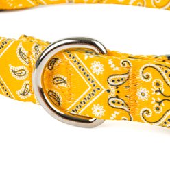 Country Brook Design Deluxe Bandana Dog Collar, Yellow, Small slide 2 of 6