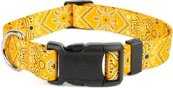 Country Brook Design Deluxe Bandana Dog Collar, Yellow, Large