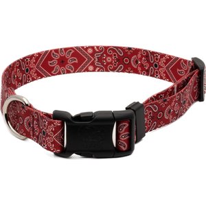 Country Brook Design Deluxe Bandana Dog Collar, Red, Medium