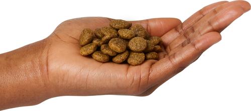 Show full view: V-Dog Kind Kibble Vegan Adult Dry Dog Food, 24-lb bag slide 6 of 9