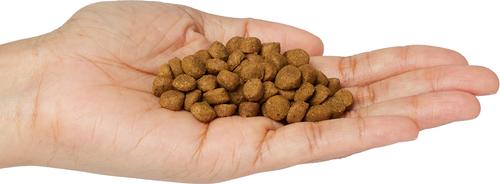 Show full view: Wysong Fundamentals Dry Dog & Cat Food, 5-lb bag slide 5 of 6