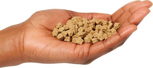 Show full view: Lotus Oven-Baked Small Bites Good Grains Chicken Recipe Adult Dry Dog Food, 12.5-lb bag slide 5 of 6