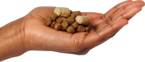 Show full view: Stella & Chewy's Wild Red Raw Blend Kibble Wholesome Grains Prairie Recipe Dry Dog Food, 3.5-lb bag slide 10 of 12