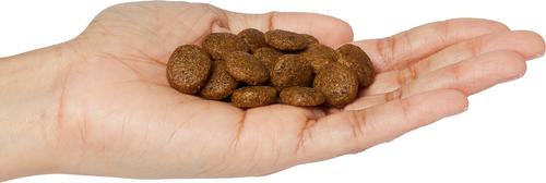 Show full view: Wholesomes Energy Plus 24/20 Dry Dog Food, 40-lb bag slide 6 of 7