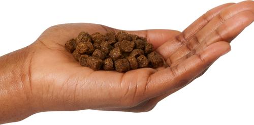 Show full view: Dr. Gary's Best Breed Holistic Working Dry Dog Food, 28-lb bag slide 6 of 7