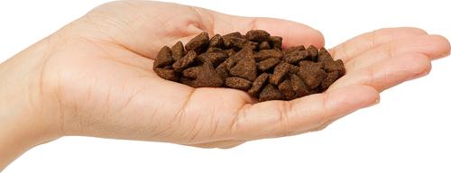 Show full view: Evanger's Grain-Free Meat Lover's Medley with Rabbit Dry Cat Food, 4.4-lb bag slide 5 of 6