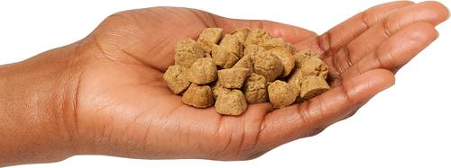 Show full view: Lotus Good Grains Chicken Recipe Oven-Baked Adult Dry Dog Food, 25-lb bag slide 4 of 5