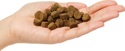 Show full view: Firstmate Grain Friendly Free Range Lamb Meal & Oats Formula Dog Food, 25-lb bag slide 3 of 7