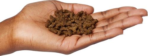 Show full view: Firstmate Grain Friendly Cat & Kitten Formula Cat Food, 5-lb bag slide 3 of 7