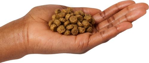 Show full view: Walk About Canine Exotics Vegan Recipe Grain-Free Dry Dog Food, 7-lb bag slide 4 of 5