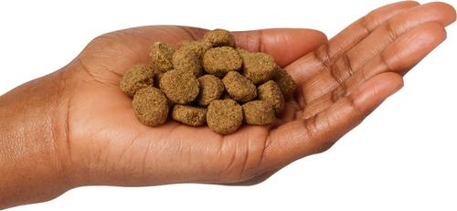 Show full view: Ultimates Sensitive with Lamb Protein Dry Dog Food, 28-lb bag slide 4 of 5