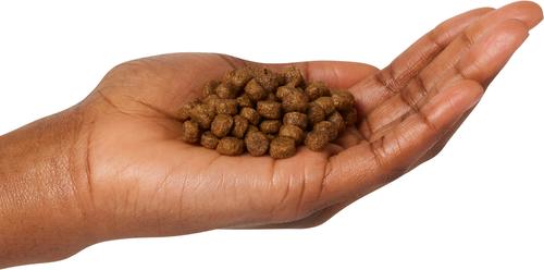 Show full view: Wholesomes Puppy Chicken & Rice Dry Dog Food, 16.5-lb bag slide 4 of 5