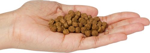 Show full view: Wysong Adult Dry Dog Food, 5-lb bag slide 3 of 7