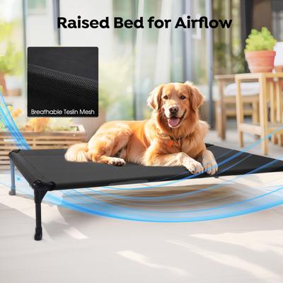 Show full view: Veehoo Elevated Dog Bed with Bolster Mat, Black, Large slide 6 of 9