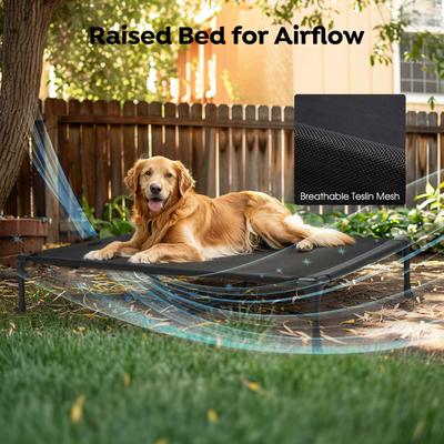 Show full view: Veehoo Double Dog Elevated Dog Bed, Black, X-Large slide 6 of 8