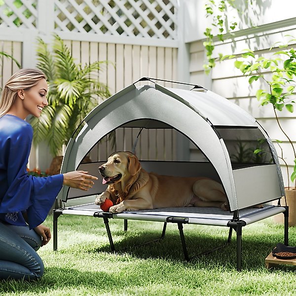 Show full view: PawHut Elevated Raised Dog Bed with Removable Canopy, 42 x 30 x 37-in, Gray slide 2 of 9