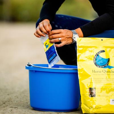 Show full view: Horse Quencher Peppermint Flavor Crumble Horse Electrolyte Supplement, 3.5-lb bag slide 4 of 5