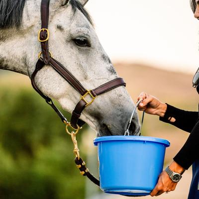 Show full view: Horse Quencher Peppermint Flavor Crumble Horse Electrolyte Supplement, 3.5-lb bag slide 3 of 5